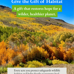 Give the Gift of Habitat