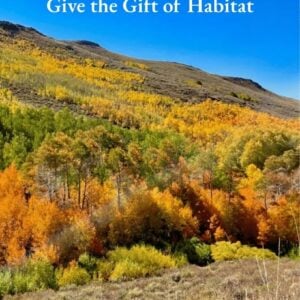 Give the Gift of Habitat