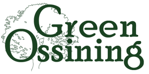green ossining (1)
