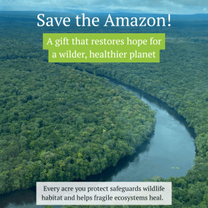 Give the Gift of Amazon Rainforest