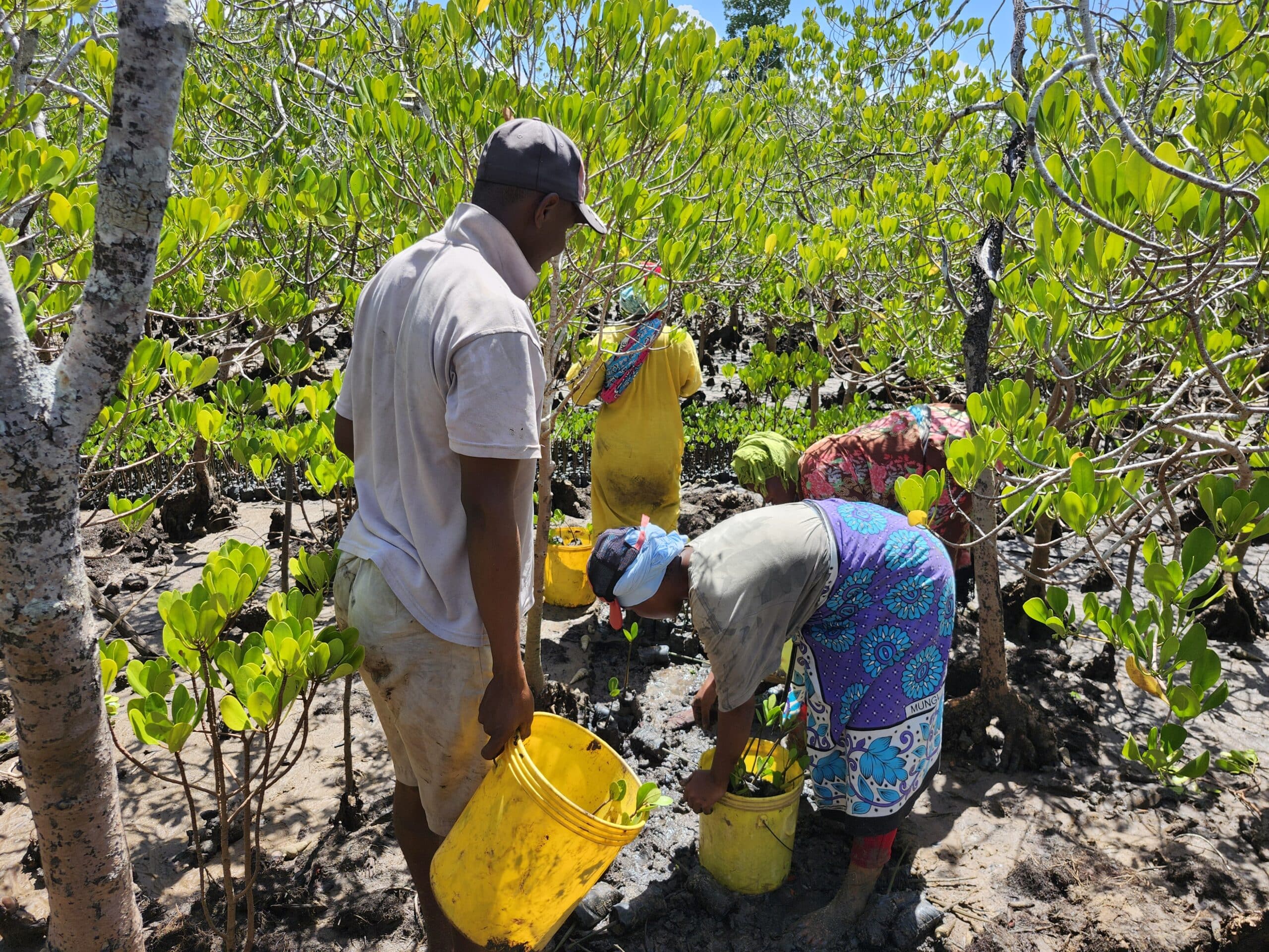 EarthLungs reforestation team