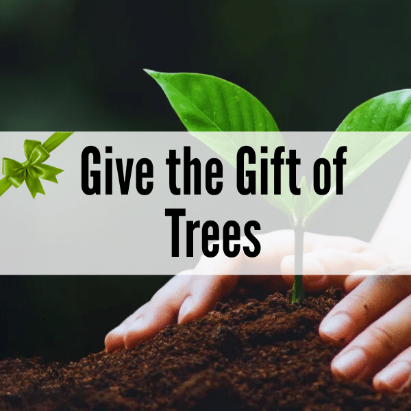Give the Gift of Trees