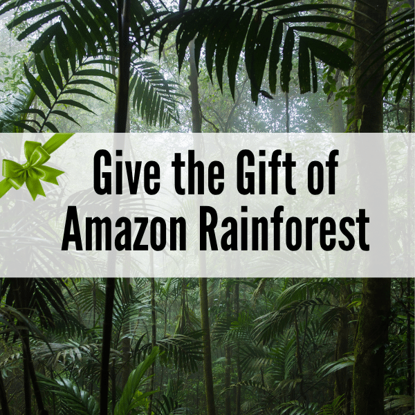 Give the Gift of Amazon Rainforest