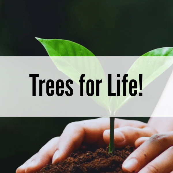 Trees for Life