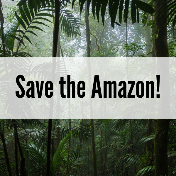 Save the Amazon