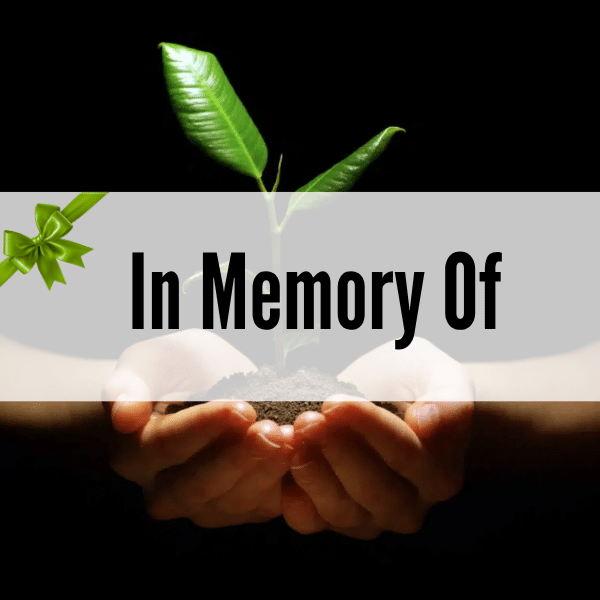 In Memory Of